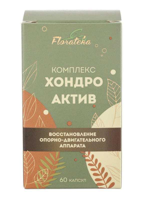 Комплекс "Хондро Актив" для суставов, 2 шт. купить недорого в интернет ...