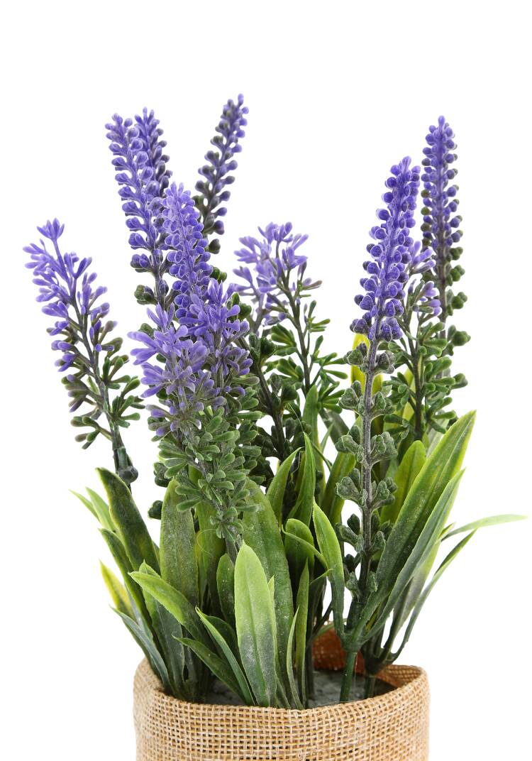 Изделие декоративное в горшке Лаванда шир.  750, рис. 3