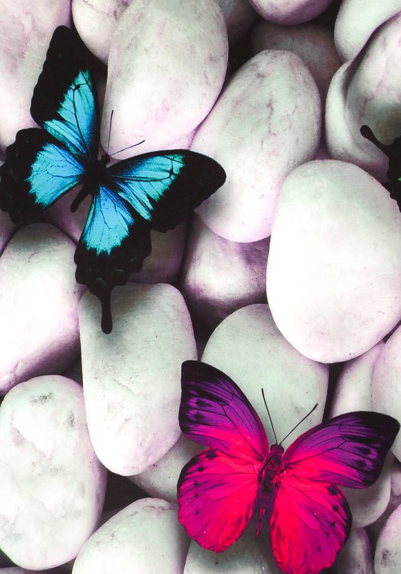 Ковер велюровый Полдень шир.  580, рис. 4