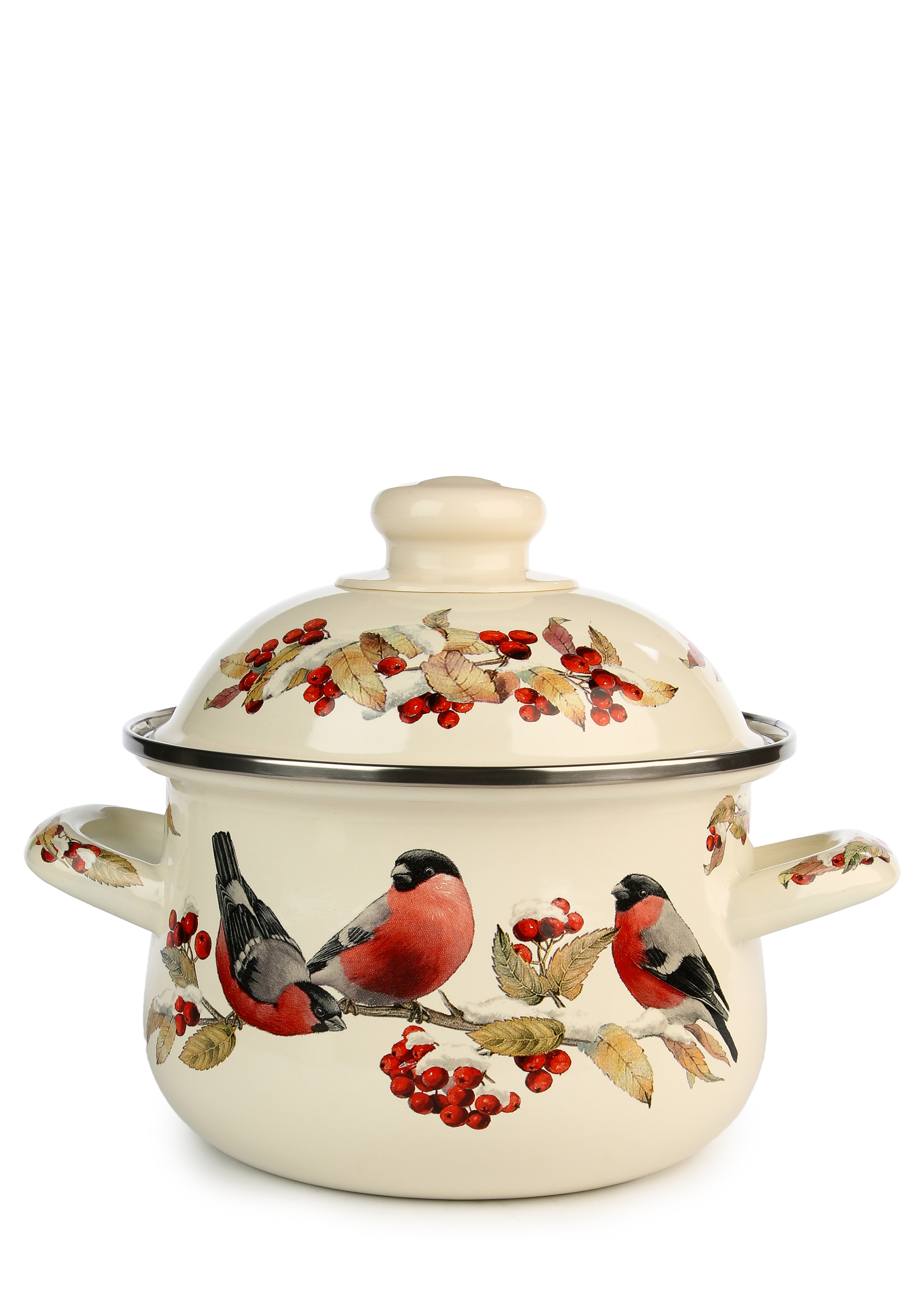 

Кастрюля эмалированная с крышкой "Снегири", Белый