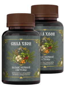 Комплекс-нейропротектор с ежовиком, 2 шт.