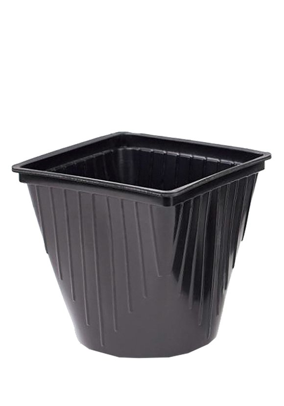 Домашняя грибная ферма Шампиньоны шир.  580, рис. 6