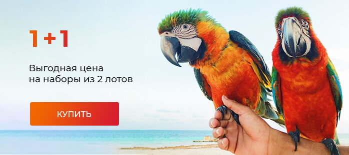 1+1 два по цене одного акции