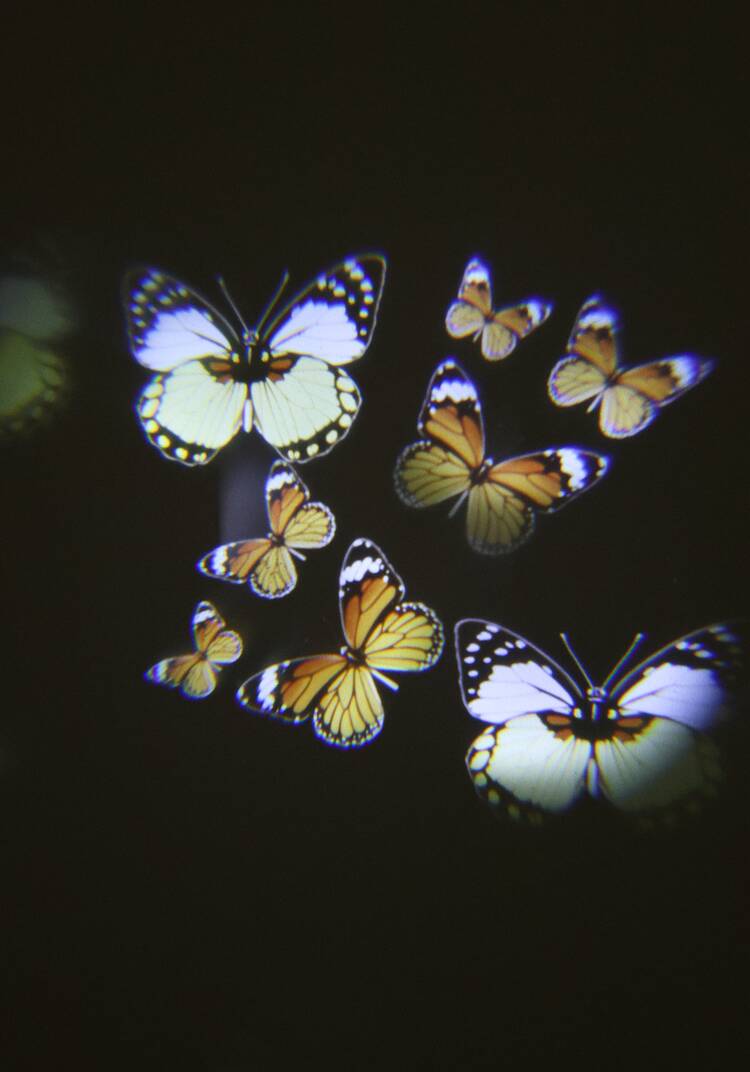 Проектор Магия праздника шир.  750, рис. 11