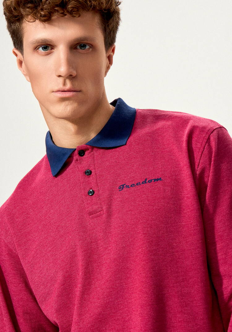 Джемпер-поло с вышивкой на груди шир.  750, рис. 13