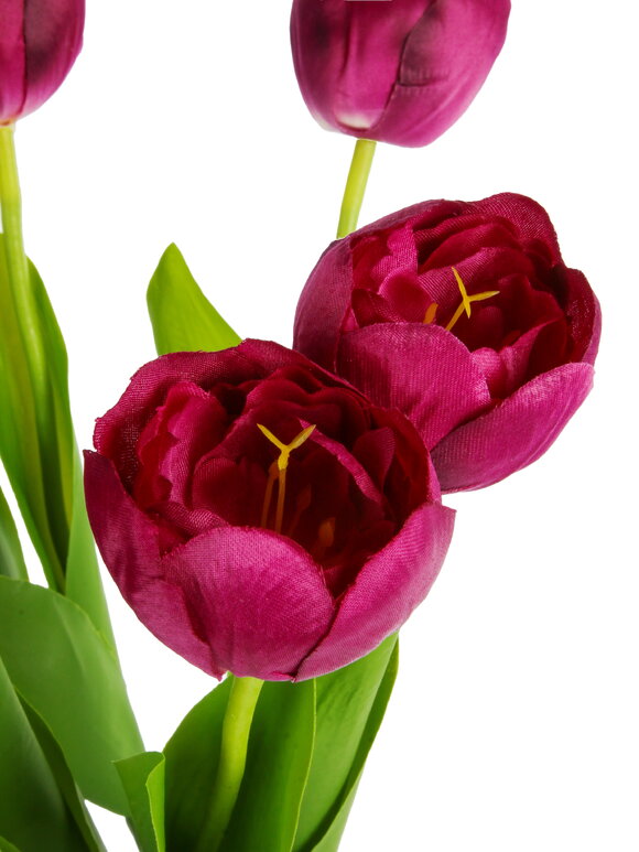 Букет тюльпанов, 9 шт. шир.  580, рис. 9