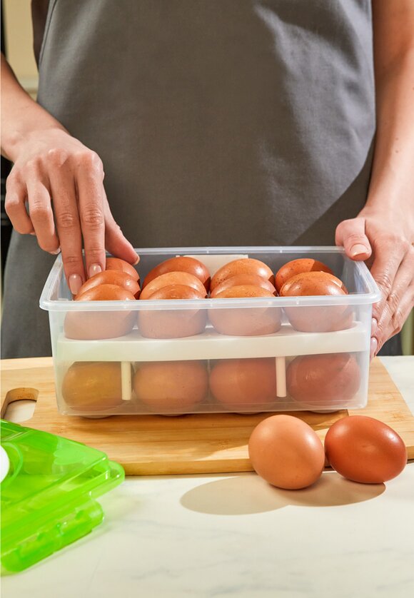 Контейнер для хранения и переноски яиц шир.  580, рис. 7