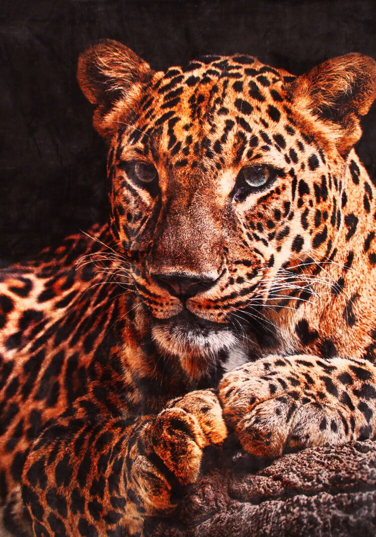 Плед-покрывало Хищник шир.  750, рис. 5