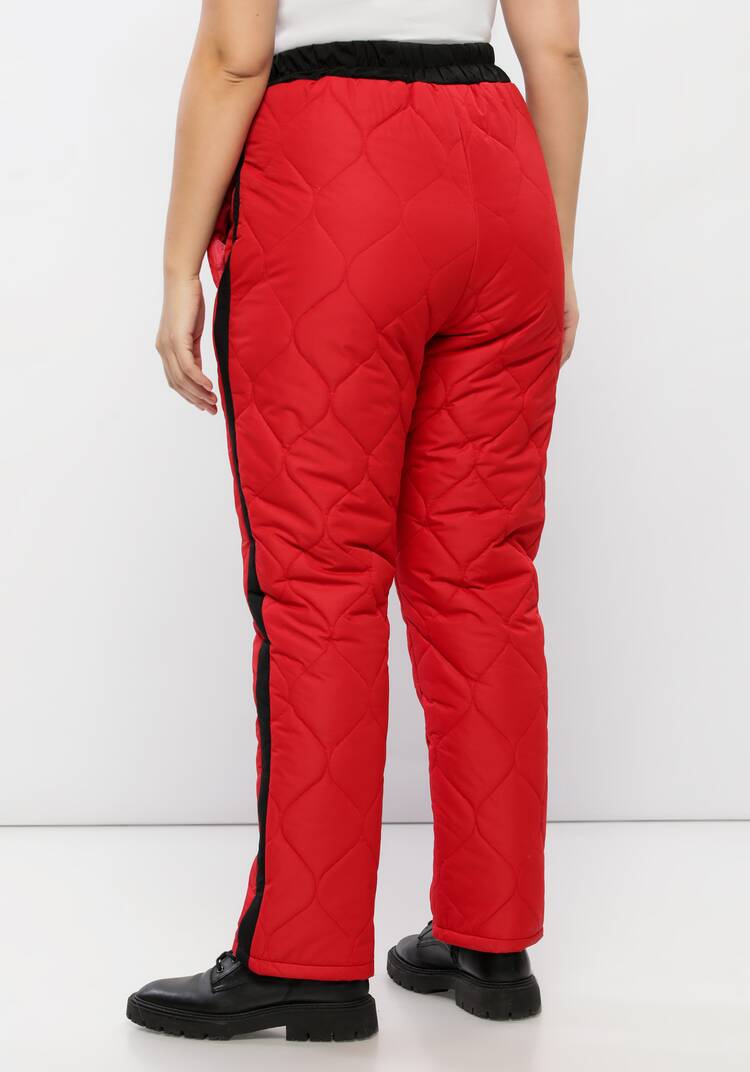 Брюки утепленные с лампасами шир.  750, рис. 8