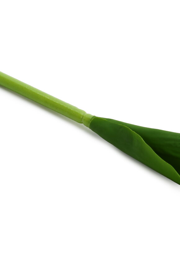 Букет тюльпанов, 9 шт. шир.  580, рис. 12