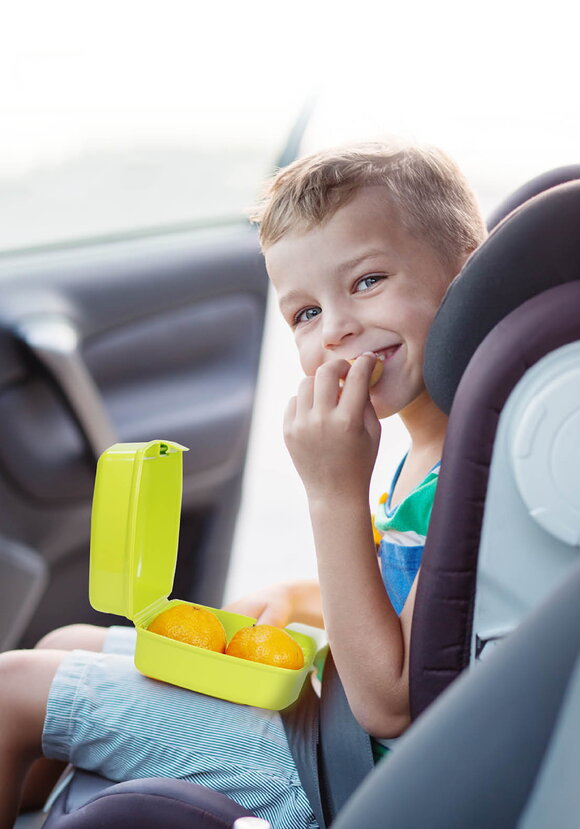 Набор из двух ланч-боксов шир.  580, рис. 6