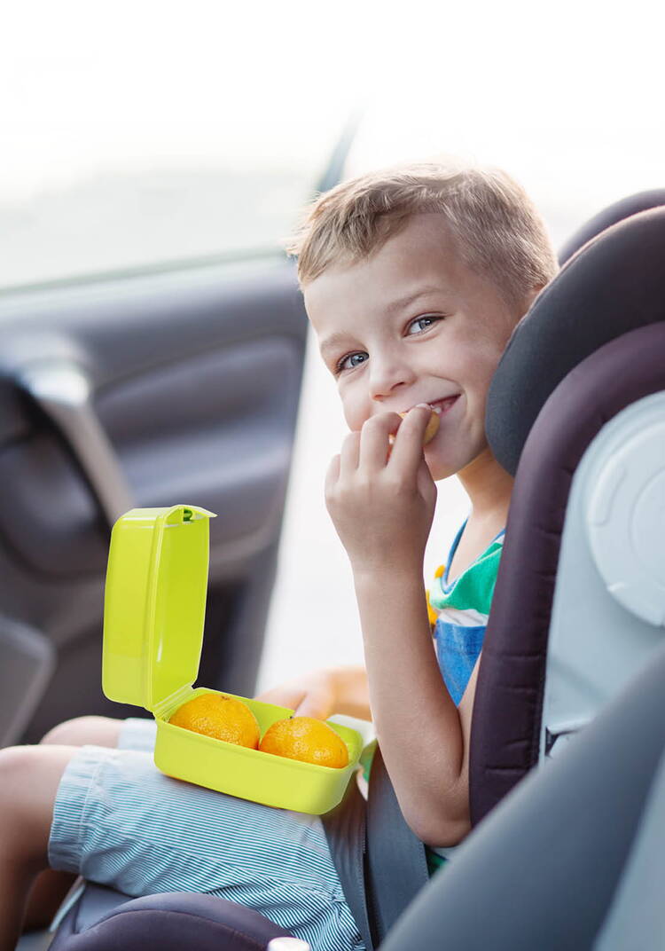 Набор из двух ланч-боксов шир.  750, рис. 6