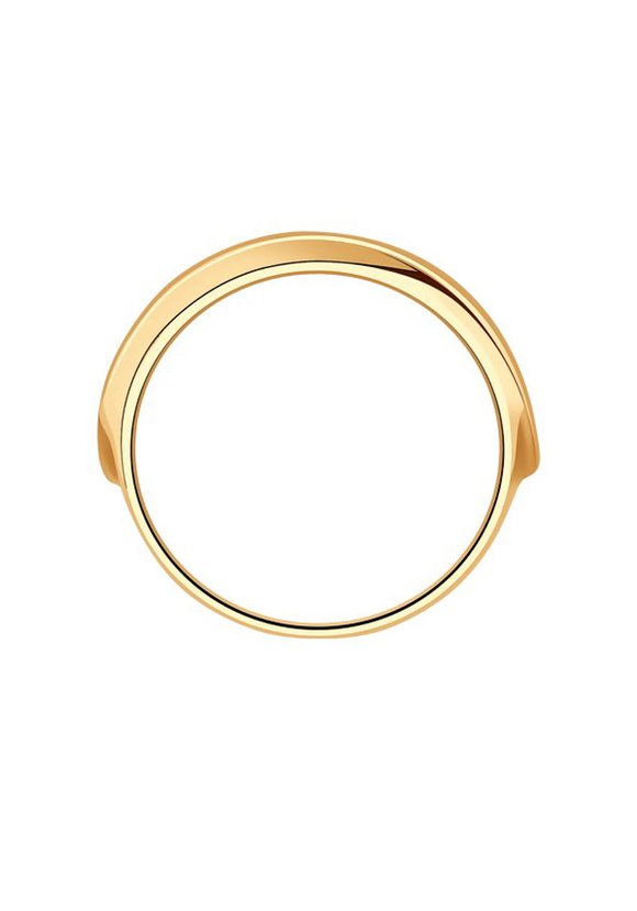 Кольцо Гера шир.  580, рис. 2