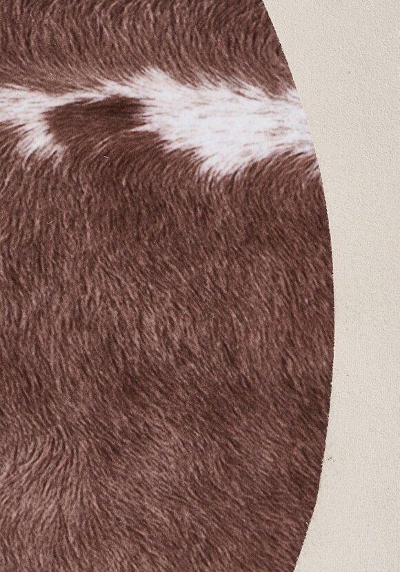 Шкура декоративная Ранчo шир.  580, рис. 4