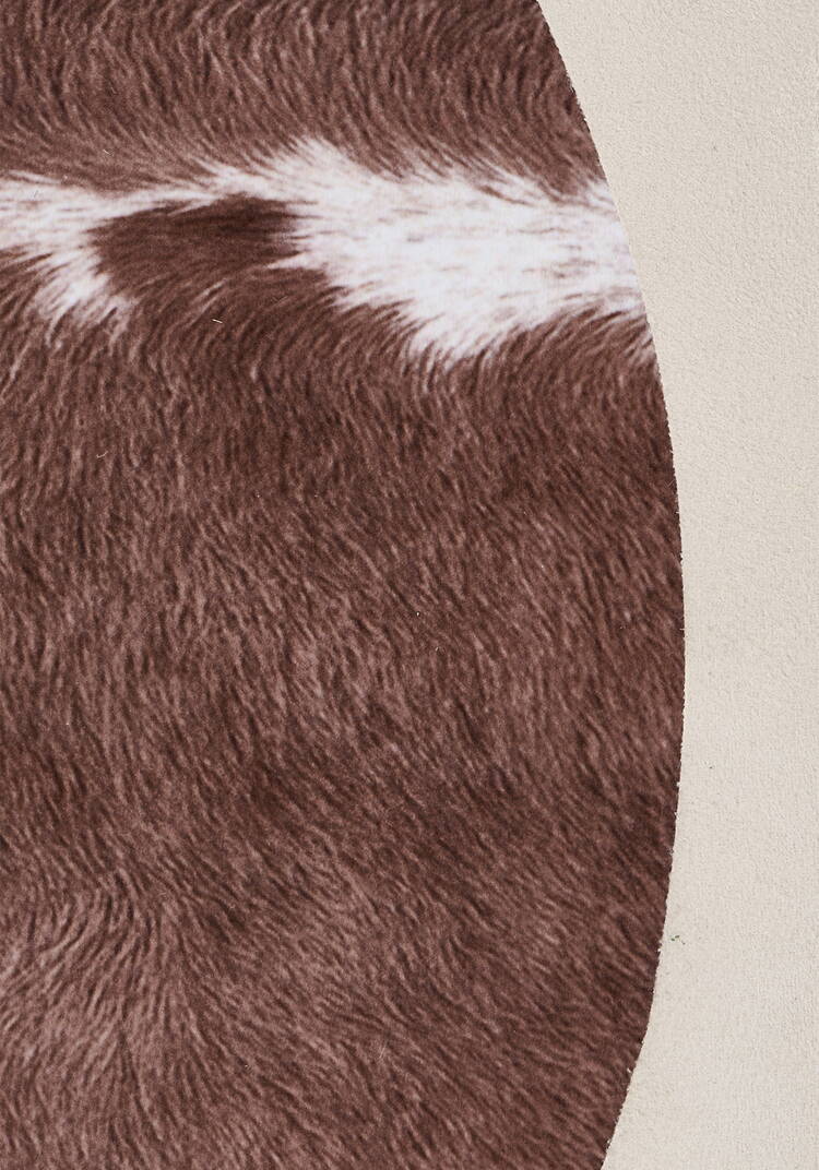 Шкура декоративная Ранчo шир.  750, рис. 4