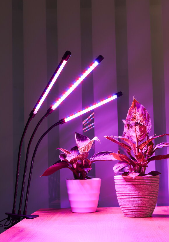 Фитолампа для растений, 3 в 1 шир.  580, рис. 7