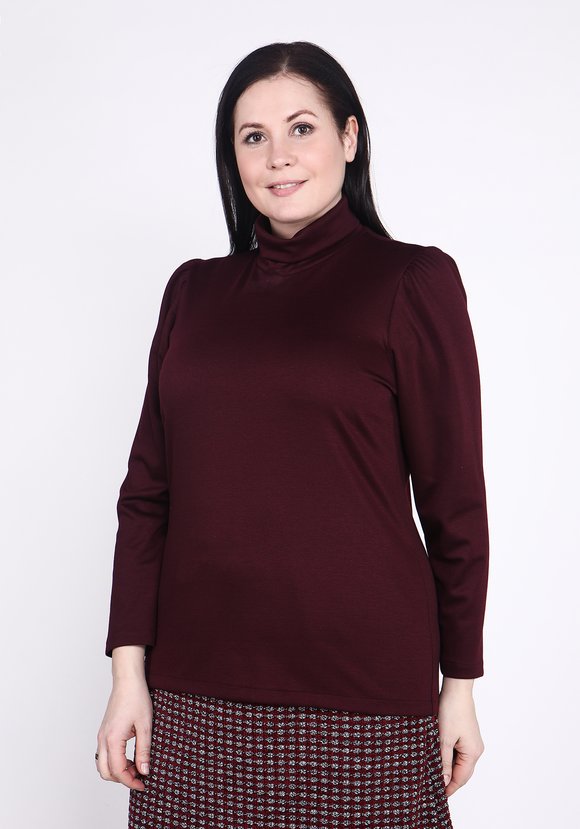 Водолазка базовая прямого кроя шир.  580, рис. 7