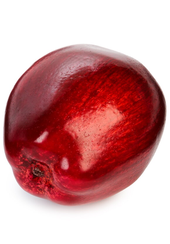 Муляж Яблоко, 7 шт. шир.  580, рис. 4