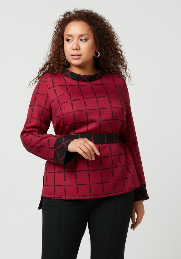 Блуза из двусторонней ткани шир.  580, рис. 1