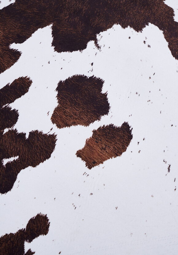 Шкура декоративная Ранчo шир.  580, рис. 15