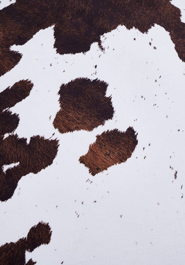 Шкура декоративная Ранчo шир.  750, рис. 15