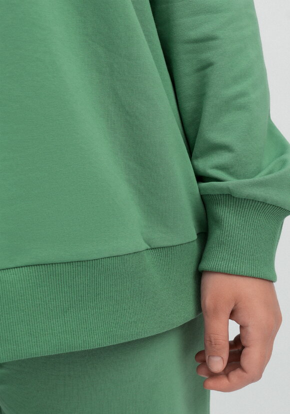 Комплект (брюки и свитшот с принтом) шир.  580, рис. 44