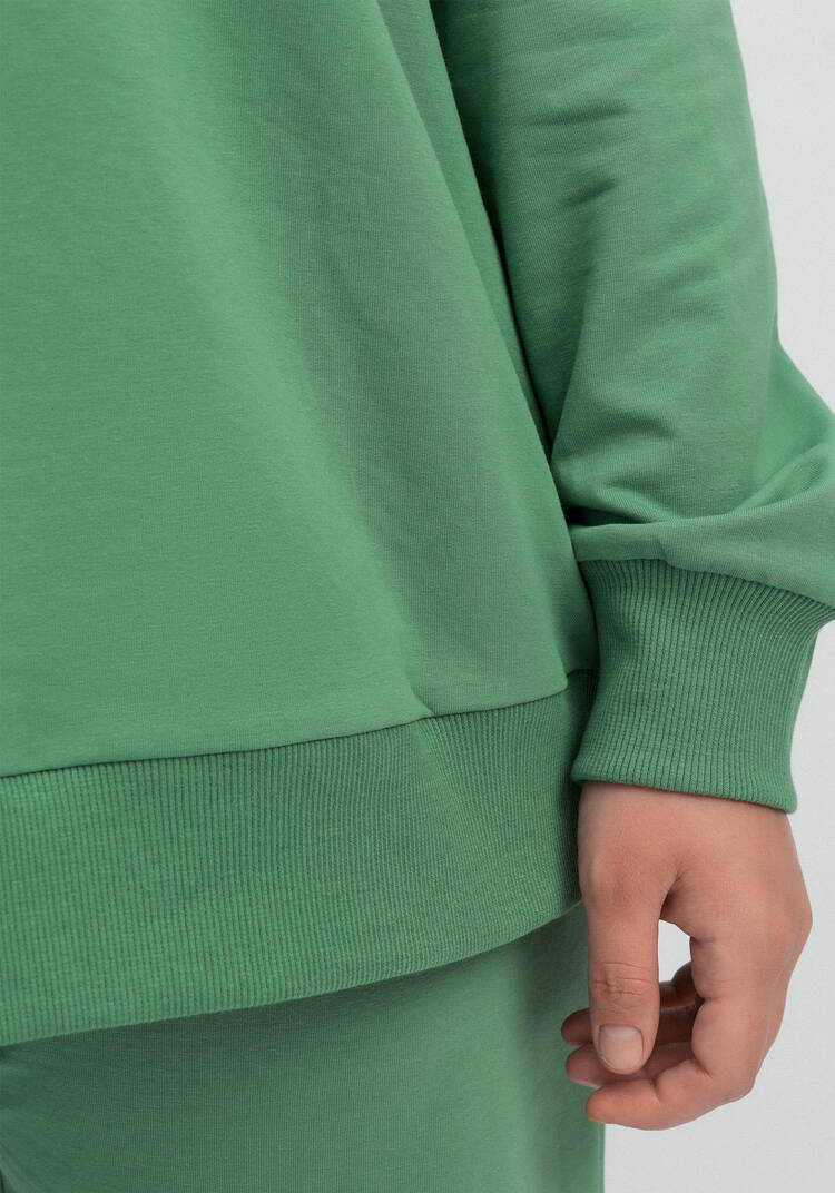 Комплект (брюки и свитшот с принтом) шир.  750, рис. 44