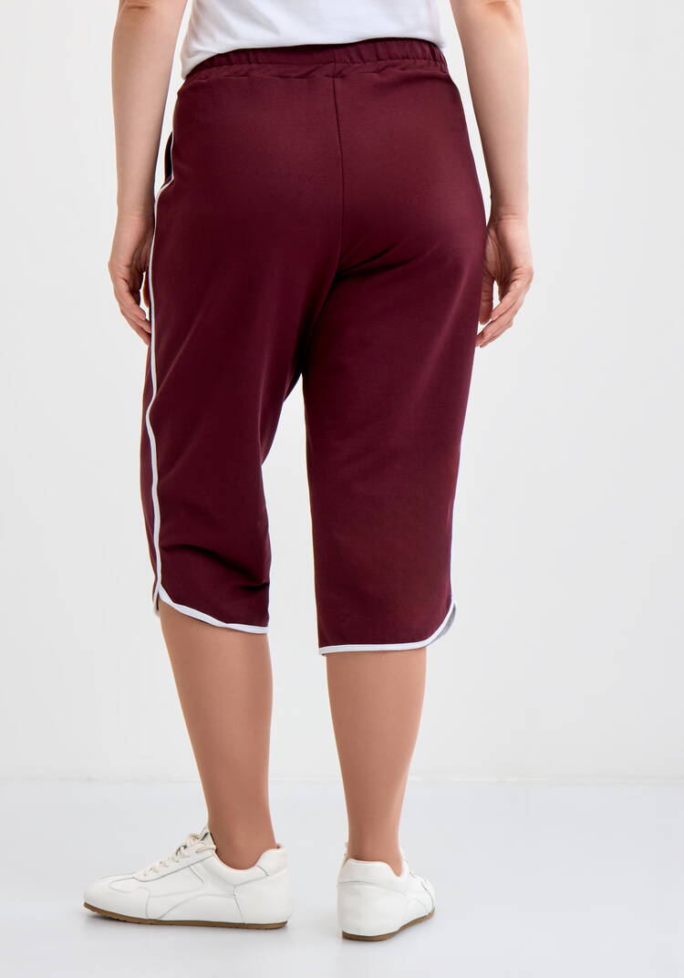 Бриджи Кармен шир.  750, рис. 3