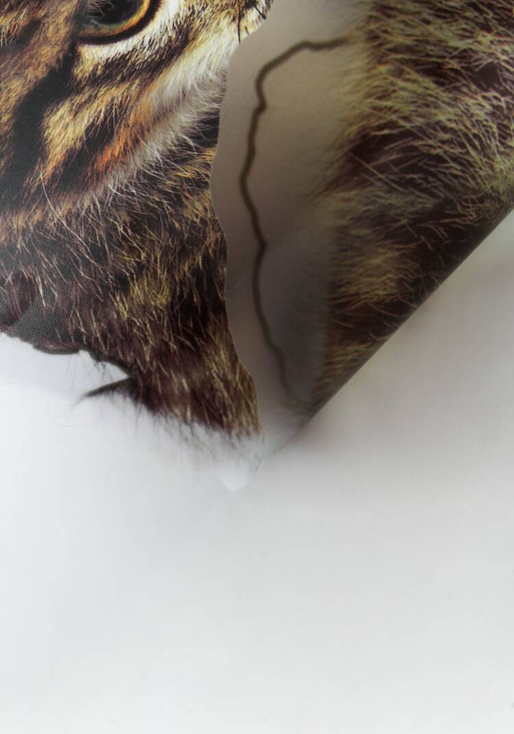 Наклейка интерьерная 3D Милая киса, 4 шт. шир.  750, рис. 7