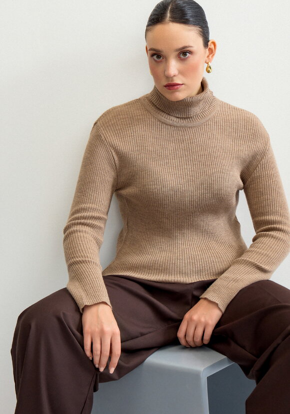 Водолазка в рубчик с высокой горловиной шир.  580, рис. 25