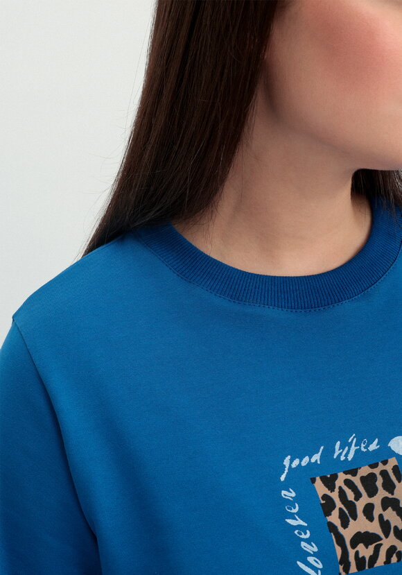 Комплект (брюки и свитшот с принтом) шир.  580, рис. 25