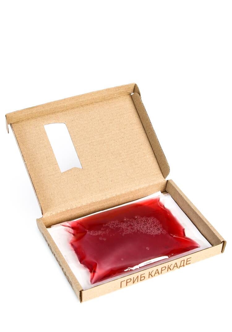 Выращенный Чайный гриб, 2 шт. шир.  750, рис. 10