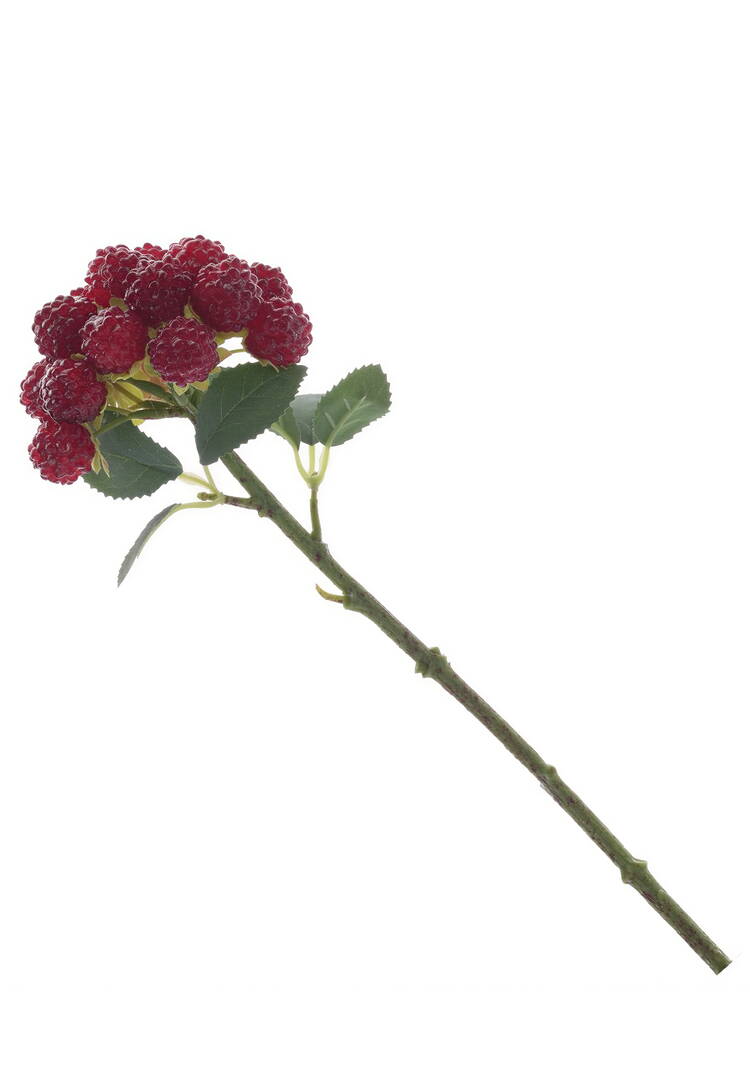 Ветка с ягодами шир.  750, рис. 5