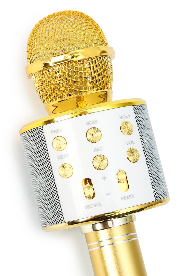 Микрофон караоке шир.  750, рис. 3