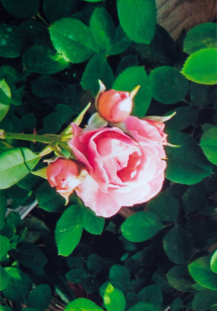 Декор для забора шир.  750, рис. 14