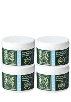 Витасигель для головного мозга Брейн, 4 шт.