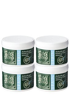 Витасигель для головного мозга Брейн, 4 шт.