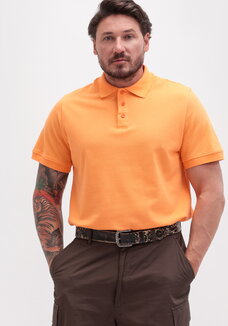 Поло Энергия