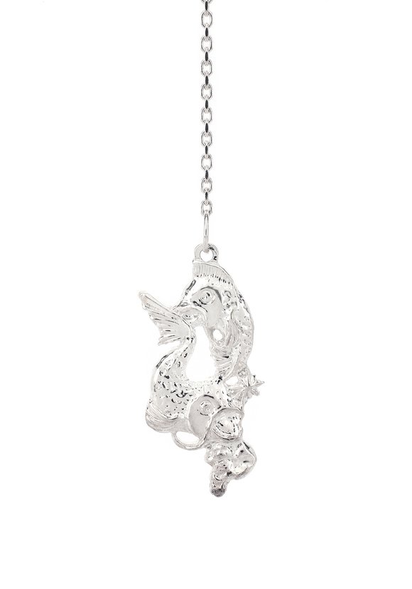 Серебряный ионизатор воды Зодиак шир.  580, рис. 16