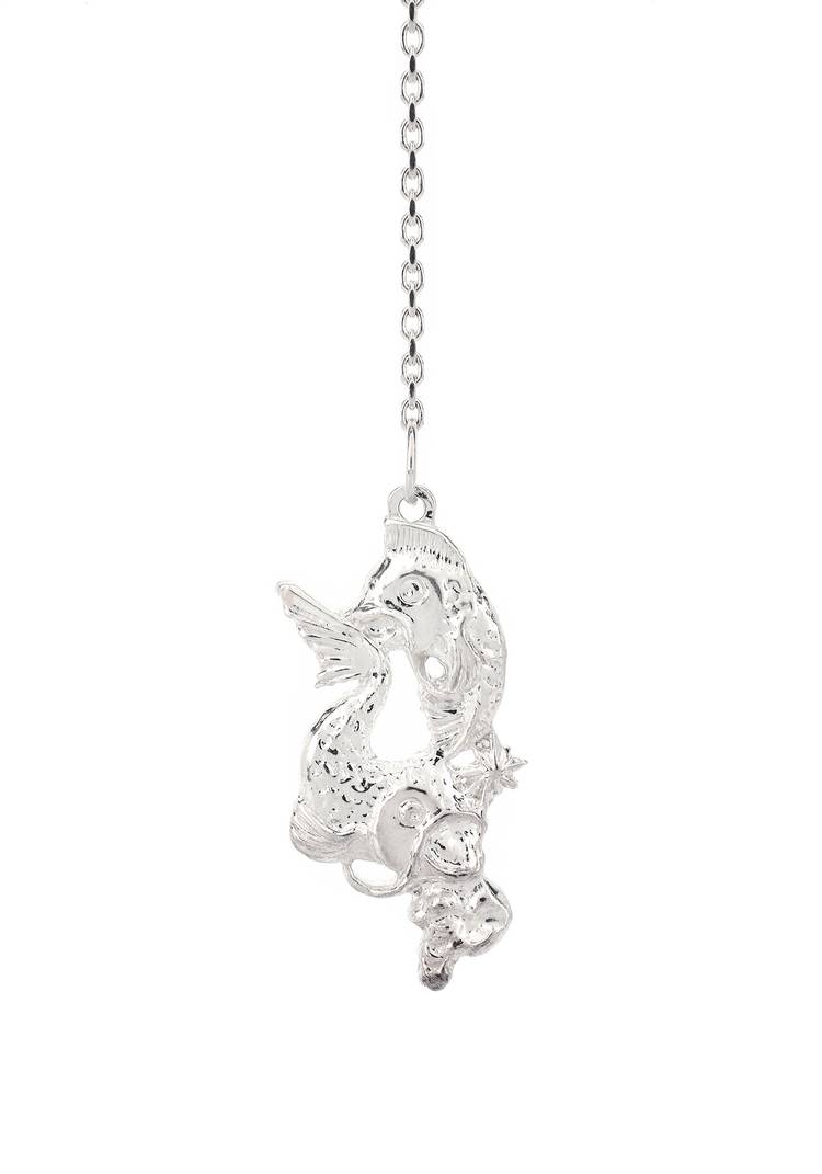 Серебряный ионизатор воды Зодиак шир.  750, рис. 16