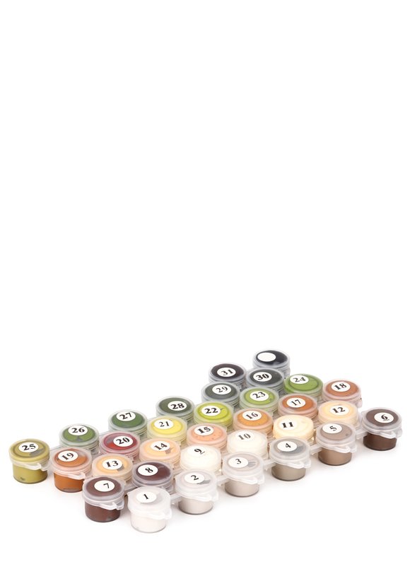 Живопись по номерам шир.  580, рис. 8