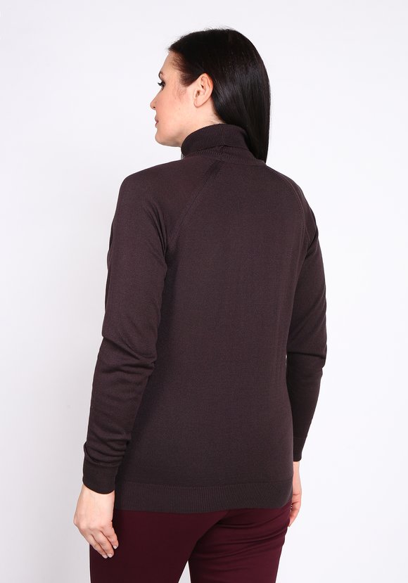 Водолазка Изысканное совершенство шир.  580, рис. 3