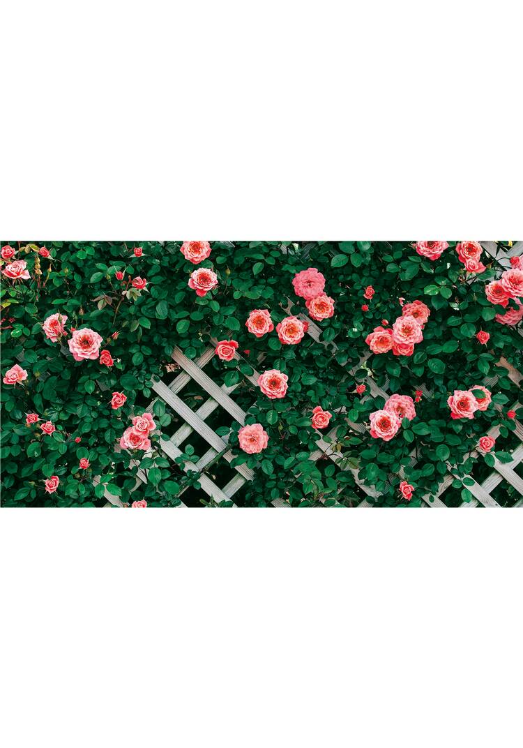 Садовый фотофасад Яркая жизнь шир.  750, рис. 11