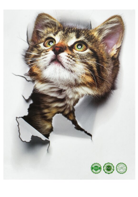 Наклейка интерьерная 3D Милая киса, 4 шт. шир.  580, рис. 2