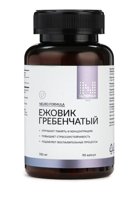 Ежовик для мозговой активости, 2 шт. шир.  580, рис. 2