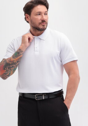 Поло Энергия