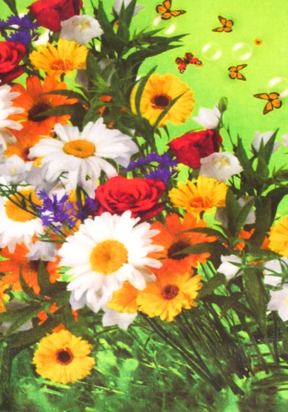 Ковер велюровый Полдень шир.  580, рис. 9