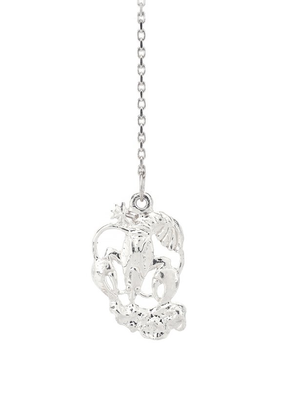 Серебряный ионизатор воды Зодиак шир.  580, рис. 14