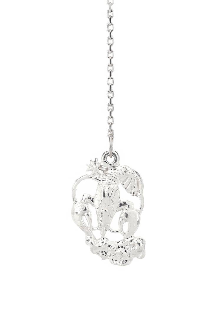 Серебряный ионизатор воды Зодиак шир.  750, рис. 14