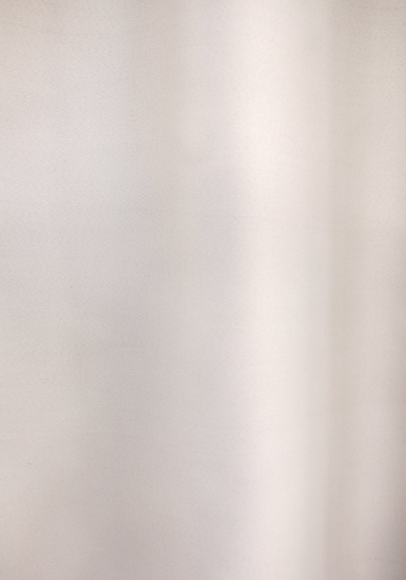 Портьера - блэкаут Антарес шир.  580, рис. 18